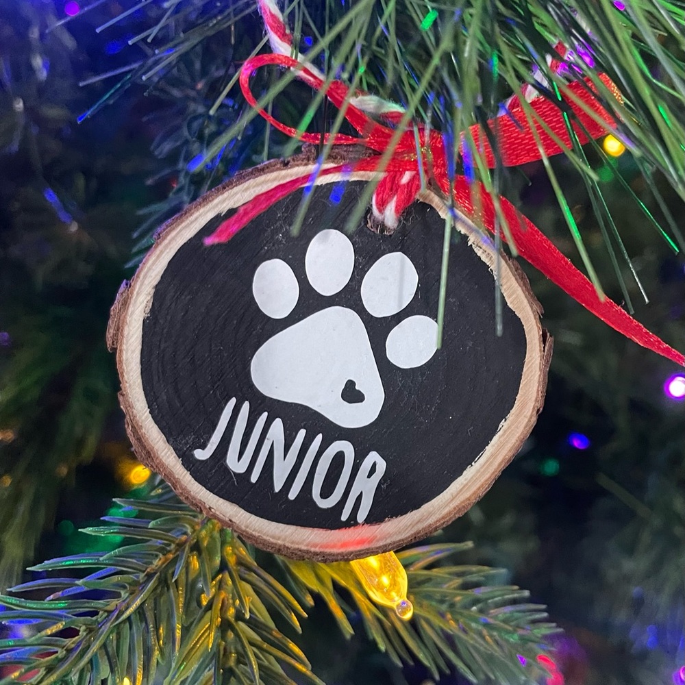 CUSTOMIZED 100% handmade Christmas pet ornament